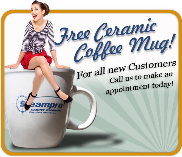 Free Ceramic Mug for New Customers!