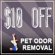 $10 OFF Pet Odor Removal